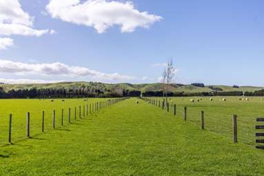 White Rock Road_1