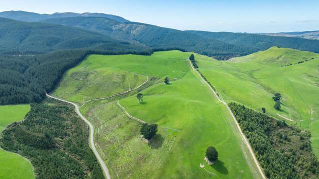 Quarry Road Loburn_2