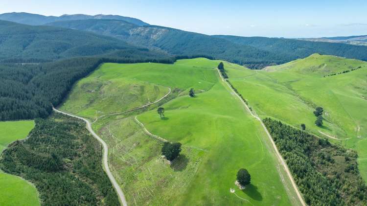 Quarry Road Loburn_2