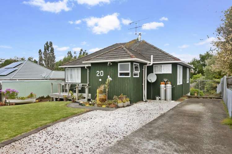 20 Larsen Road Panmure_1