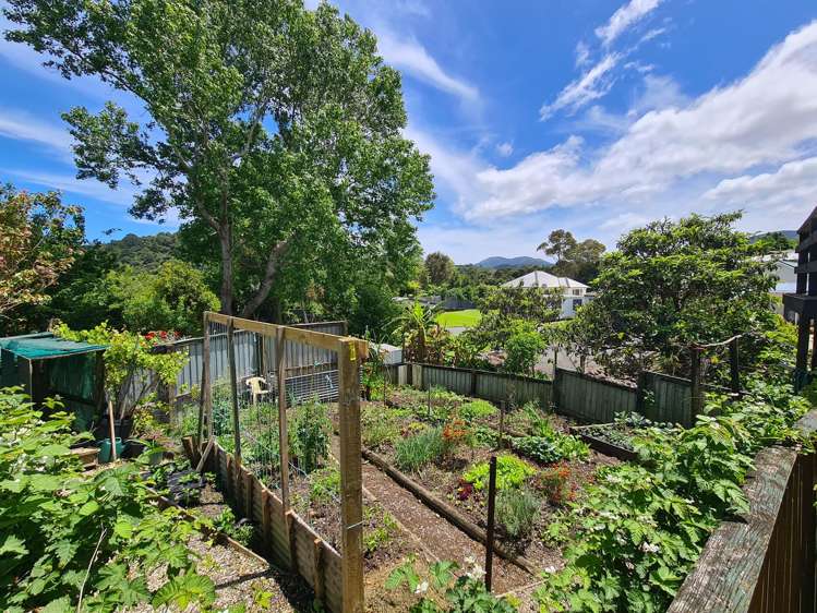 1225 Rings Road Coromandel_9