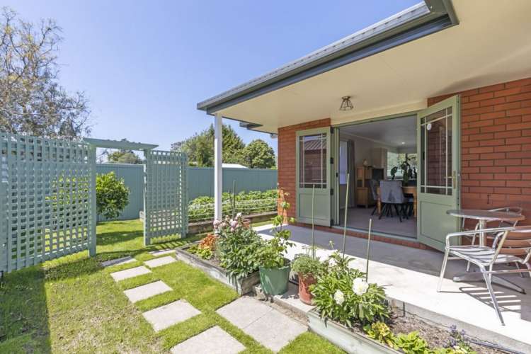 5 Bary Street Springlands_22