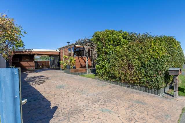 27 Lancaster Street Tamatea_1