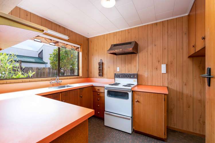 667 Castle Street North Dunedin_7