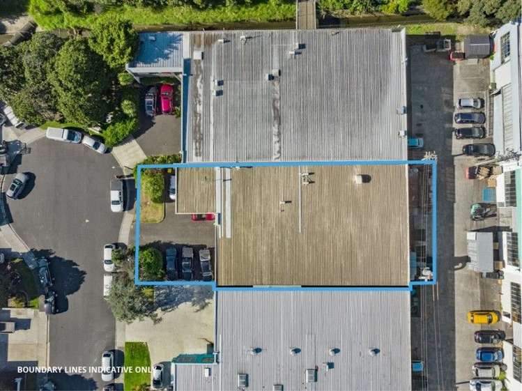 7 Goldfield Wairau Valley_6