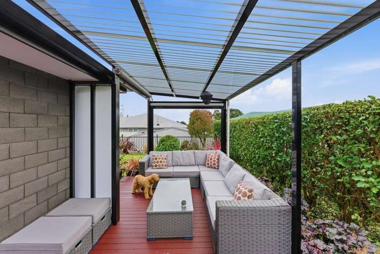 9A Wicksteed Street Vogeltown_1