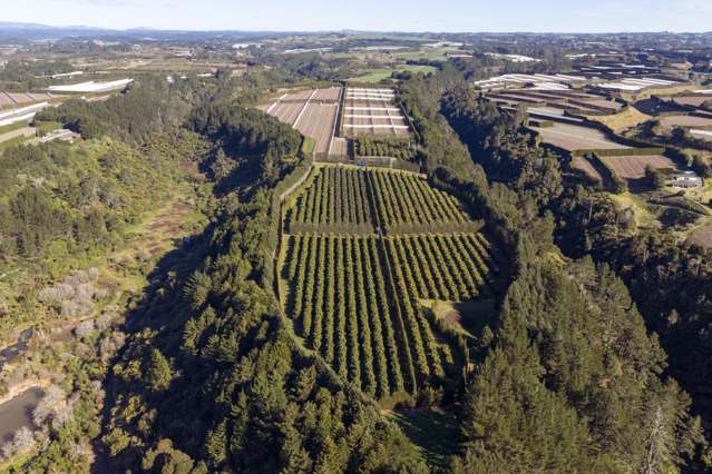 852 Rangiuru Road Rangiuru_1