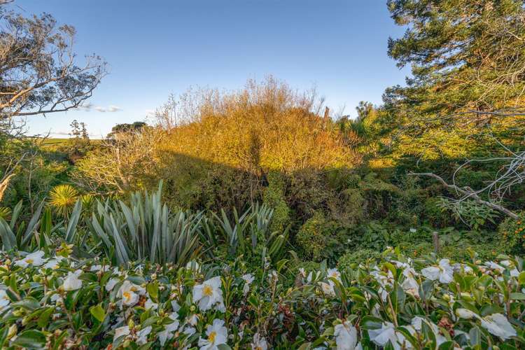 171 Annandale Road Taupaki_43