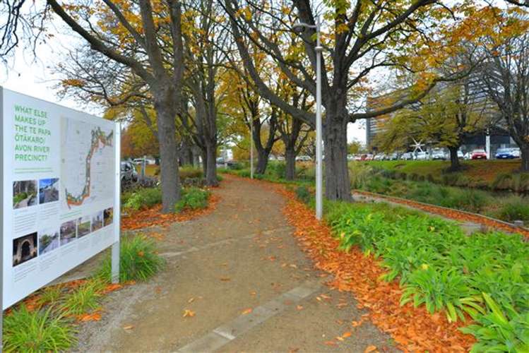 2/41 Cambridge Terrace Christchurch Central_18