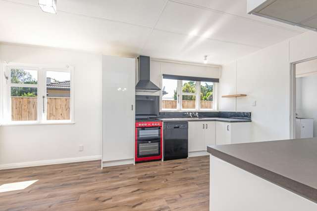 103 Mulgrave Street Ashhurst_3