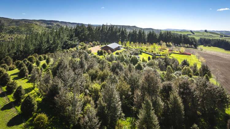 135 Willowford Road Waiwhare_28