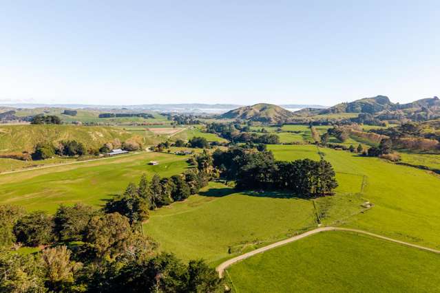 99 Surreydale Road Pahiatua_4