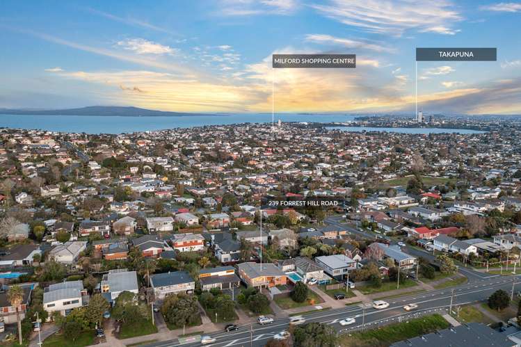 239 Forrest Hill Road Forrest Hill_19