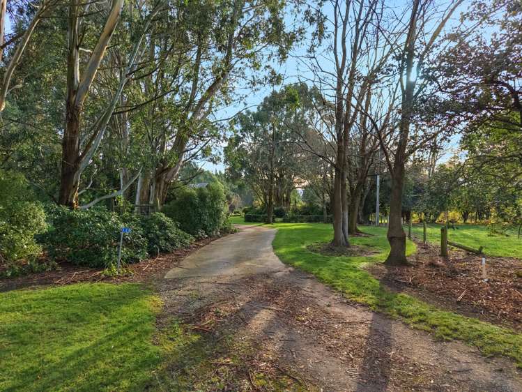 120 Roughan Road Gore_25