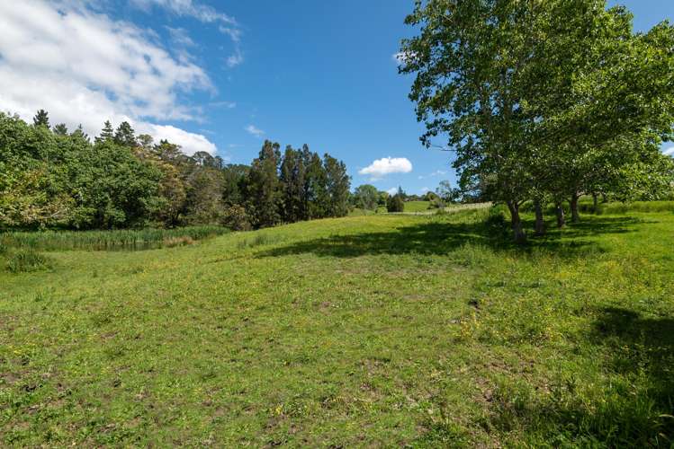 435 Pine Valley Road Dairy Flat_57