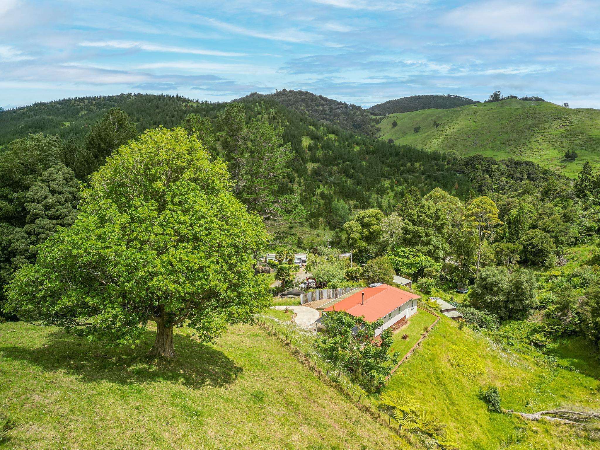 Real estate bargains at the top of New Zealand - reality of buying in Far North