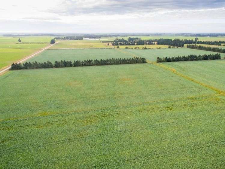 293 Hackthorne Road Carew_10