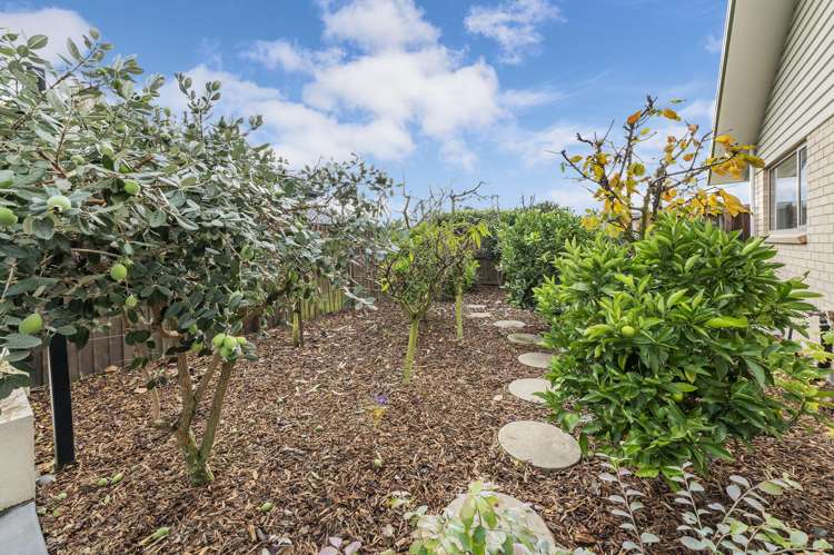 61 Manse Road Leeston_23