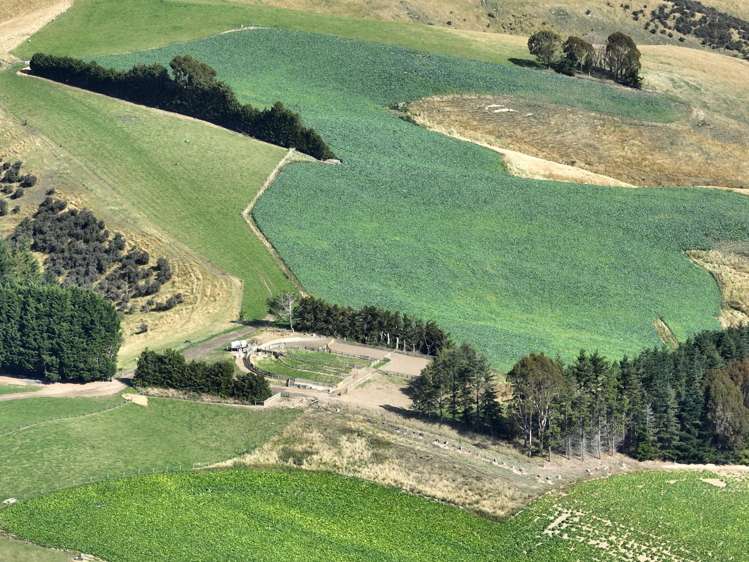 665-901 Tima Burn Road Teviot_4