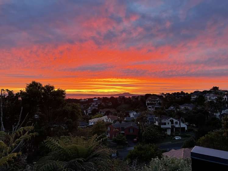 188a Browns Bay Road Browns Bay_3