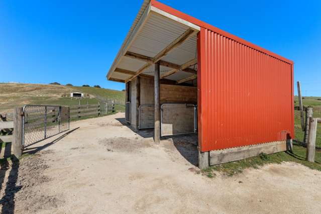 422A Ahiaruhe Road Carterton_4