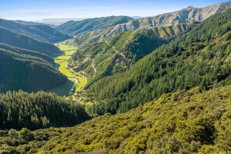 793 Waikakaho Road Tua Marina_11