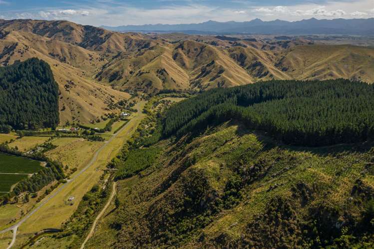 793 Taylor Pass Road Taylor Pass_20