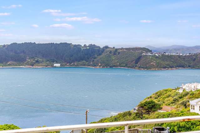 110A Grafton Road Roseneath_3