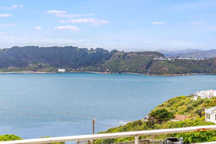 110A Grafton Road Roseneath_2