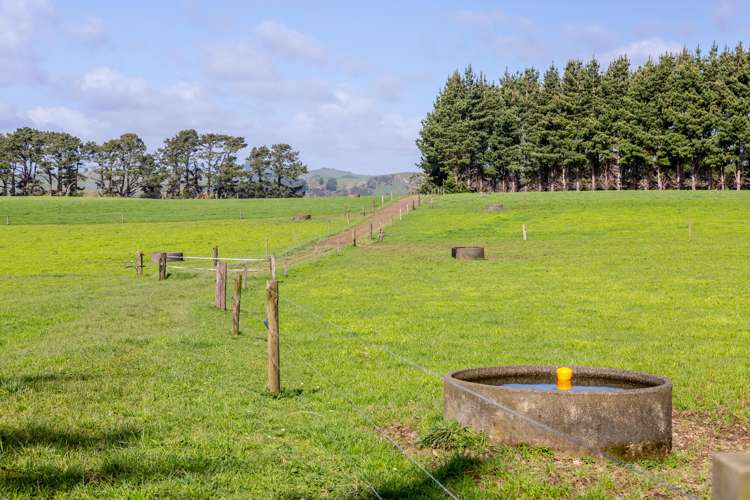 108 Pukewhai Road Pahiatua_14