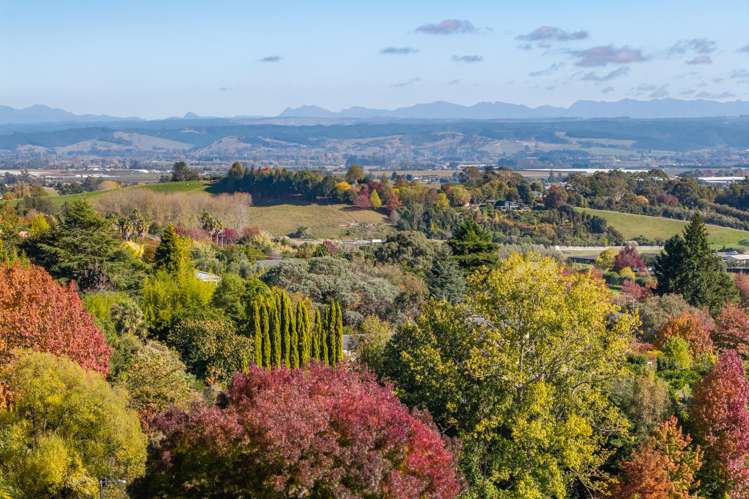 22 Hillplough Heights Richmond_8