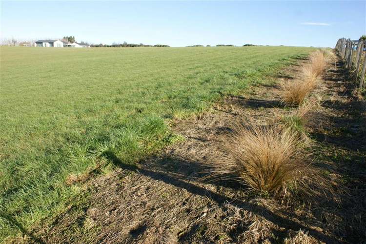 52 Spittles Way Gore_10