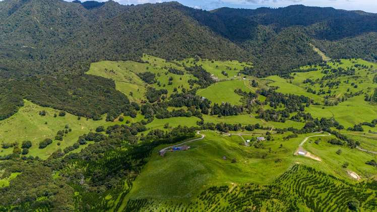 560 Diggers Valley Road Herekino_11