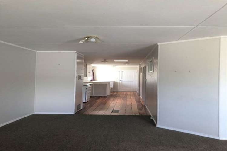  A/3 Montgomery Street Levin_1