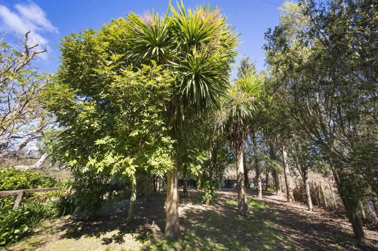 443 Reu Reu Road Halcombe_10