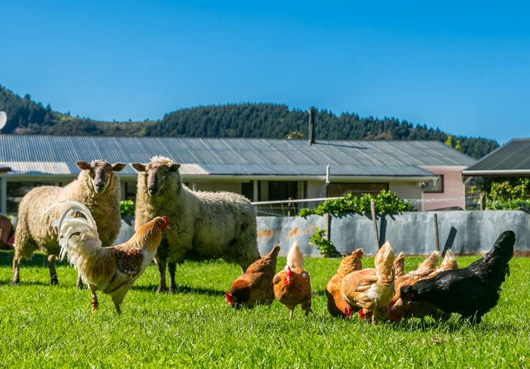 5804 Kenepuru Road Kenepuru Sound_13