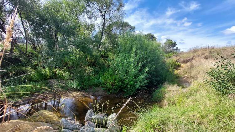 359 Waiotu Block Road Hukerenui and Surrounds_20