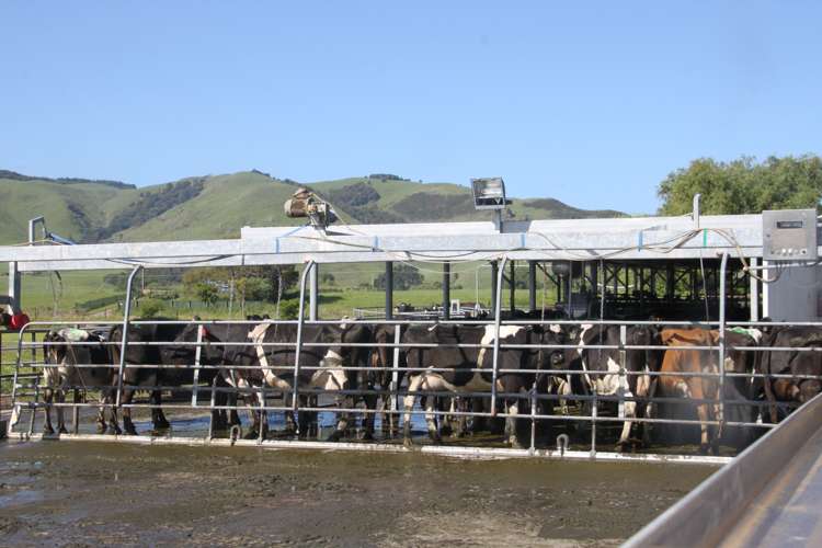 5885 State Highway 26 Te Aroha_12