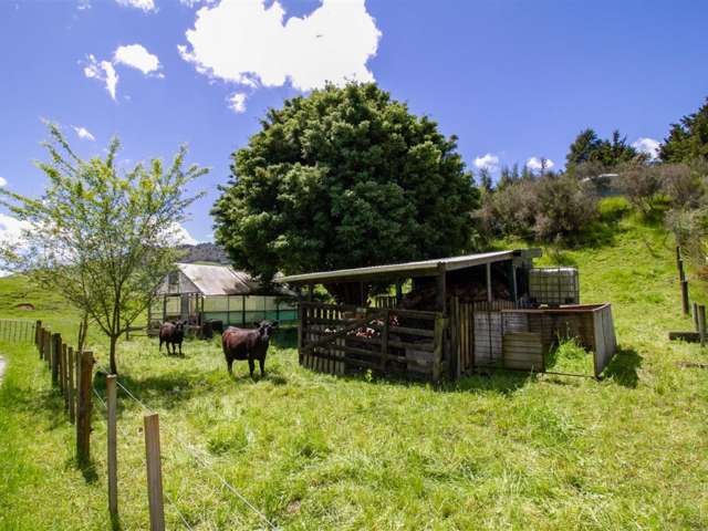 5205 State Highway 4 Waimiha-Ongarue_3