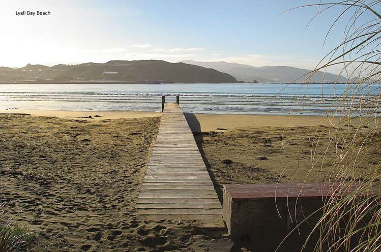 118 Lyall Parade Lyall Bay_1