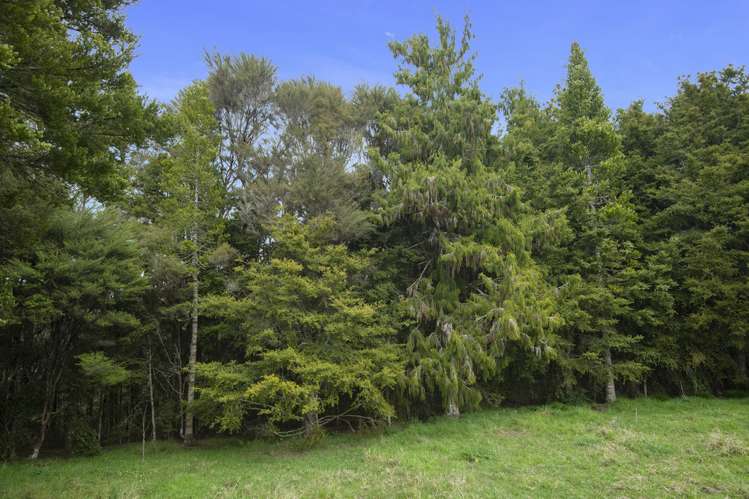 340 Pigs Head Road Hukerenui and Surrounds_18