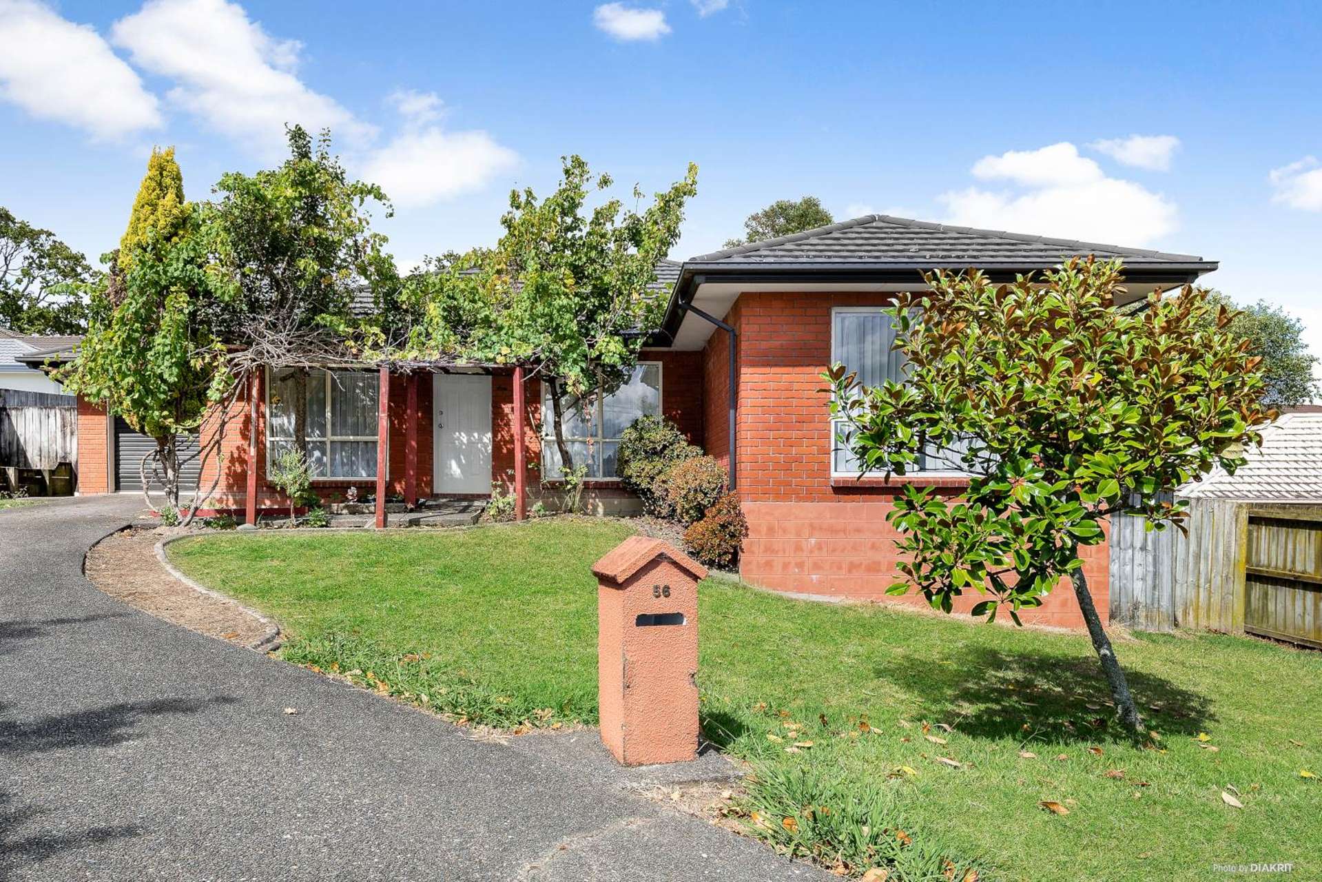 56 Hewlett Road Massey_0