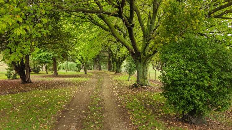 432 Deep Creek Road Waimate_15