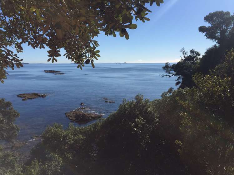 75 Great Barrier Road Oneroa_14