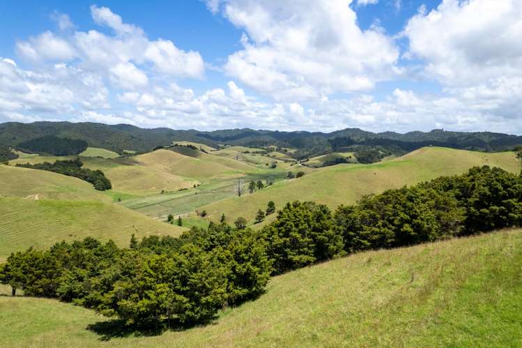 538 Hailes Road Whananaki_28