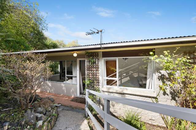 52b Passmore Crescent Maori Hill_1