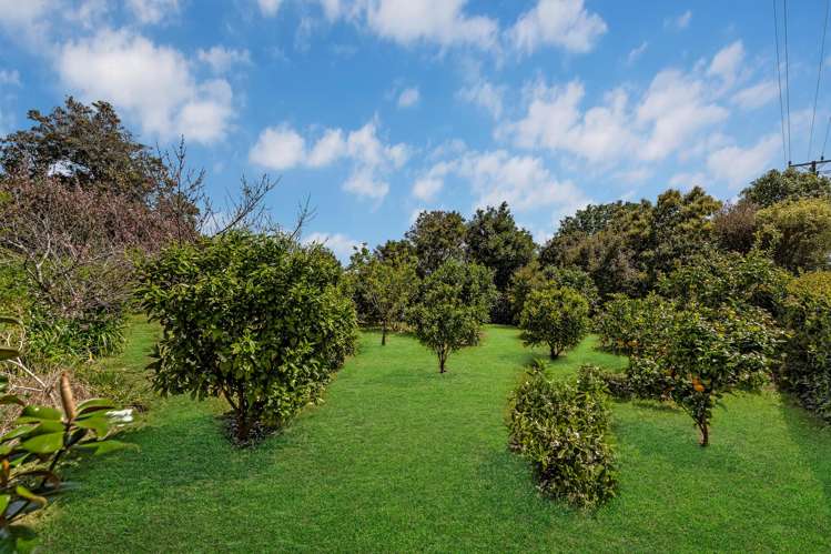 267 Union Road Mauku_33