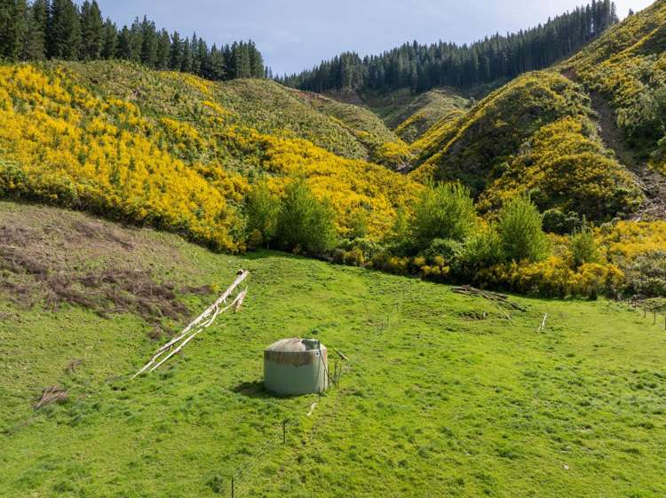 208 Mount Riley Road Okaramio_40