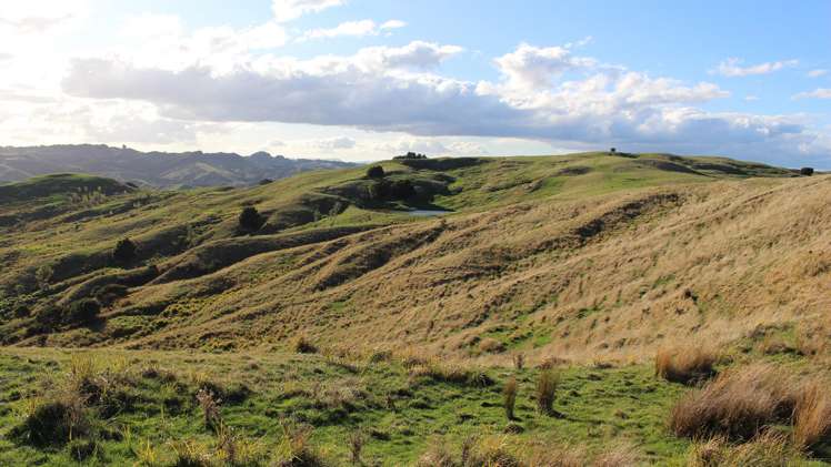 338 Tinui Valley Road Tinui_11