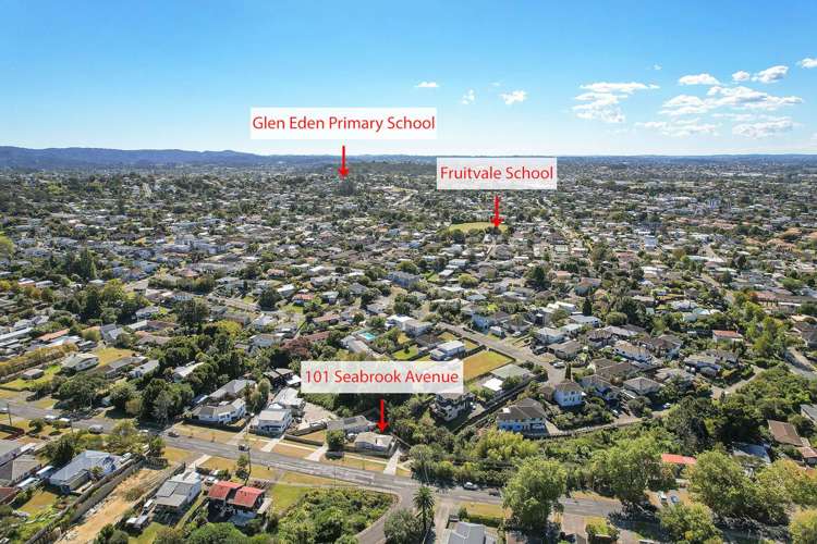 101 Seabrook Avenue New Lynn_13